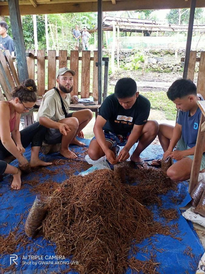 Jolits Ecogarden Hostel Batuan Exteriér fotografie