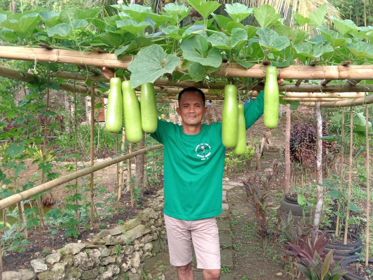 Jolits Ecogarden Hostel Batuan Exteriér fotografie